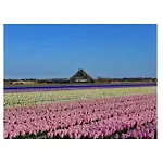 Apartman Sandepark 127 *