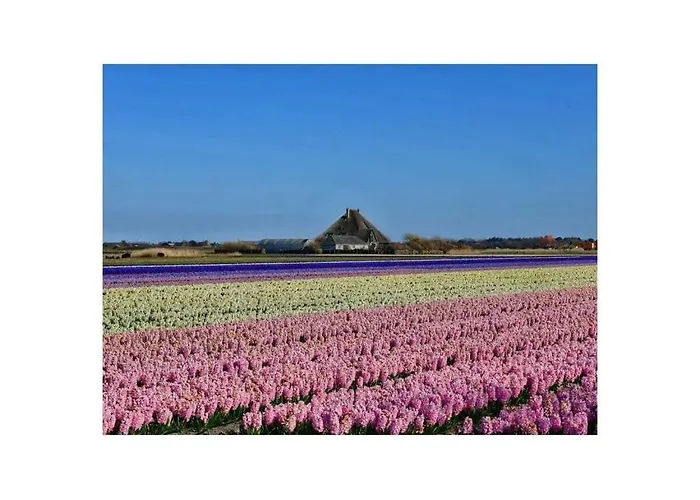 Apartment Sandepark 127 *