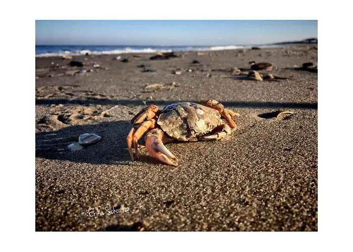 Sandepark 127 Callantsoog