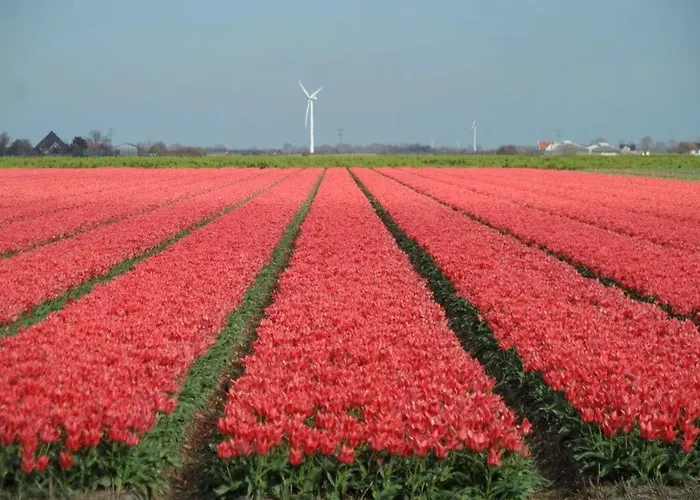 Apartment Sandepark 127 Callantsoog