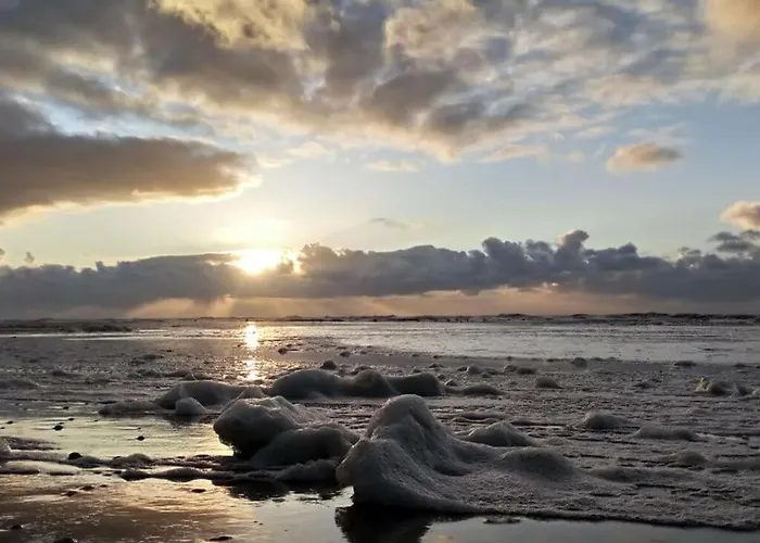 Apartment Sandepark 127