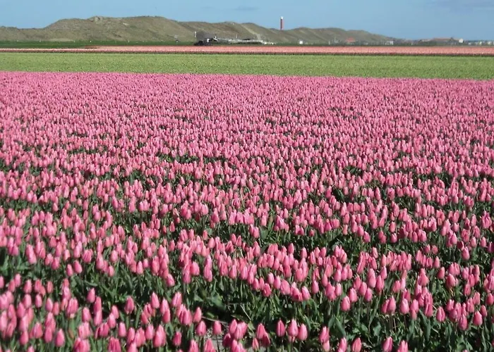 Sandepark 127 Callantsoog